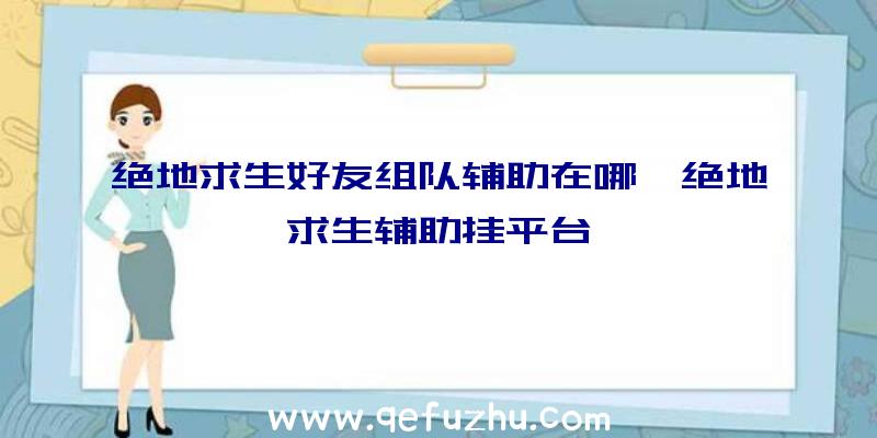 绝地求生好友组队辅助在哪、绝地求生辅助挂平台