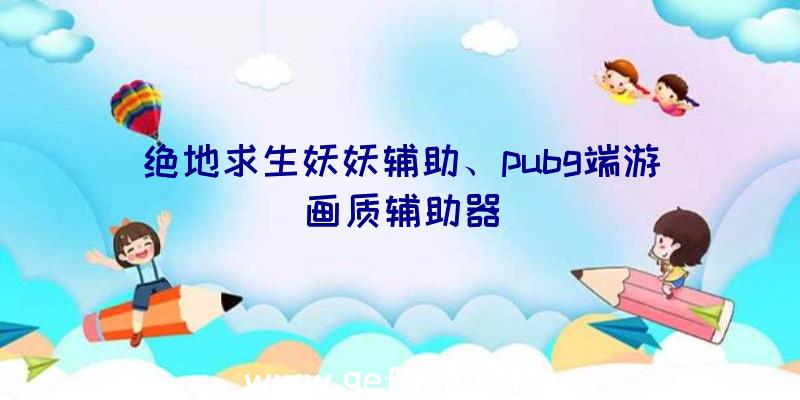 绝地求生妖妖辅助、pubg端游画质辅助器