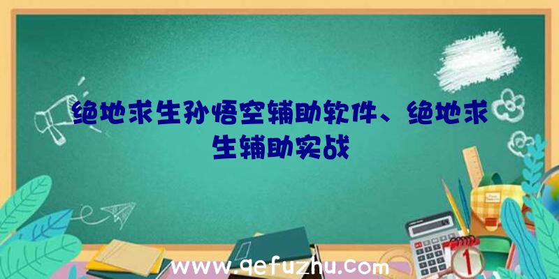 绝地求生孙悟空辅助软件、绝地求生辅助实战