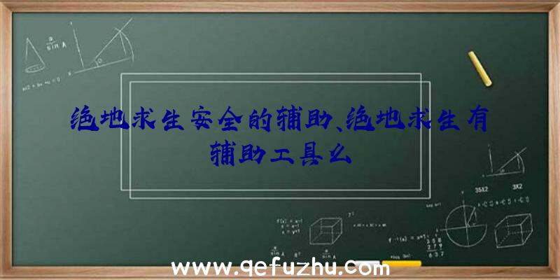 绝地求生安全的辅助、绝地求生有辅助工具么