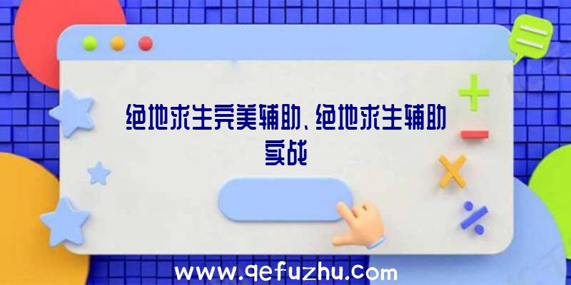 绝地求生完美辅助、绝地求生辅助实战