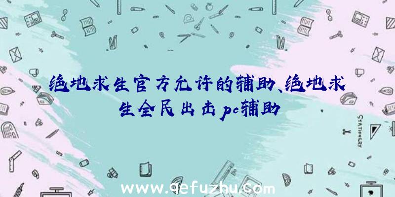 绝地求生官方允许的辅助、绝地求生全民出击pc辅助