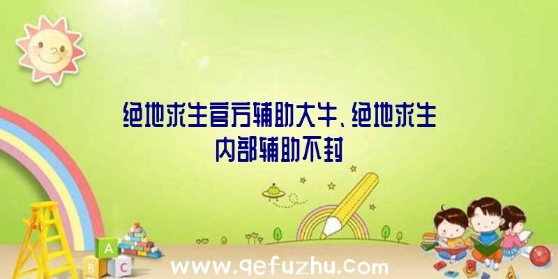 绝地求生官方辅助大牛、绝地求生内部辅助不封