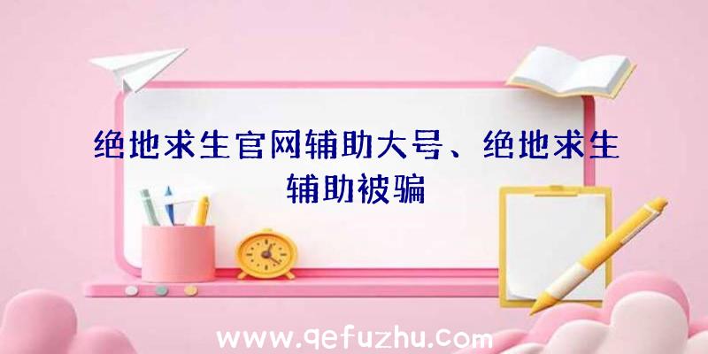 绝地求生官网辅助大号、绝地求生辅助被骗