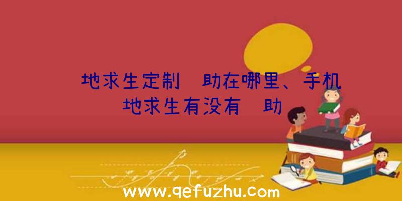 绝地求生定制辅助在哪里、手机绝地求生有没有辅助