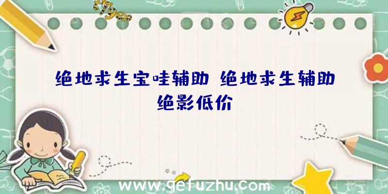 绝地求生宝哇辅助、绝地求生辅助绝影低价