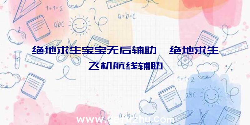 绝地求生宝宝无后辅助、绝地求生飞机航线辅助