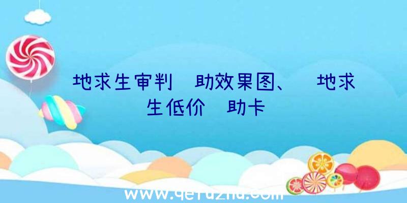 绝地求生审判辅助效果图、绝地求生低价辅助卡