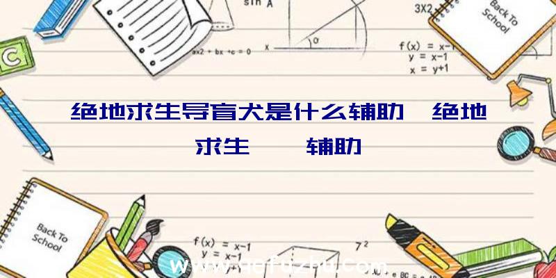 绝地求生导盲犬是什么辅助、绝地求生迪迦辅助