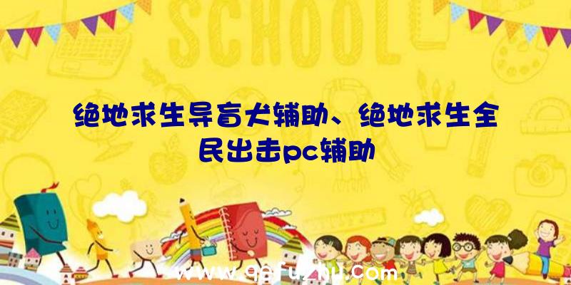 绝地求生导盲犬辅助、绝地求生全民出击pc辅助