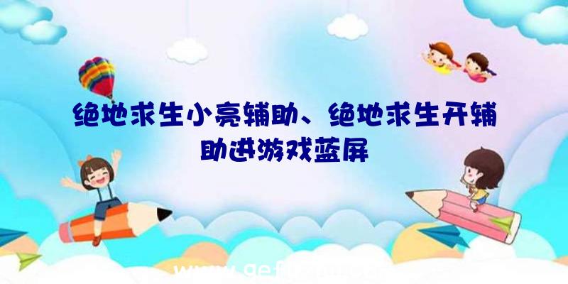 绝地求生小亮辅助、绝地求生开辅助进游戏蓝屏