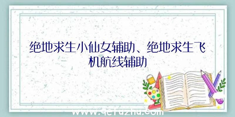 绝地求生小仙女辅助、绝地求生飞机航线辅助