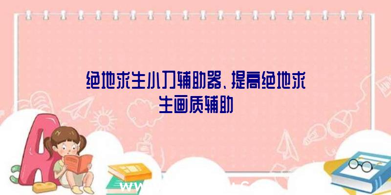 绝地求生小刀辅助器、提高绝地求生画质辅助