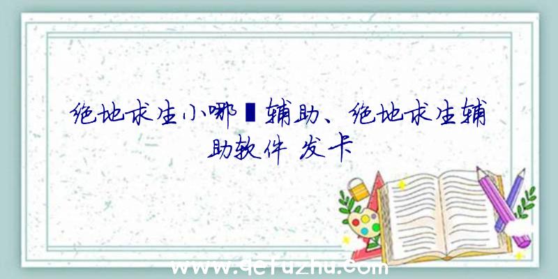 绝地求生小哪吒辅助、绝地求生辅助软件