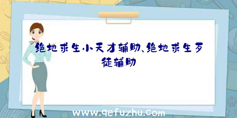 绝地求生小天才辅助、绝地求生歹徒辅助