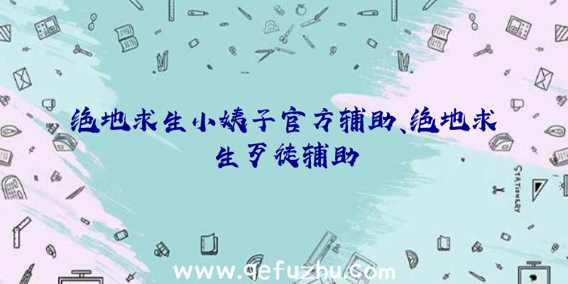 绝地求生小姨子官方辅助、绝地求生歹徒辅助