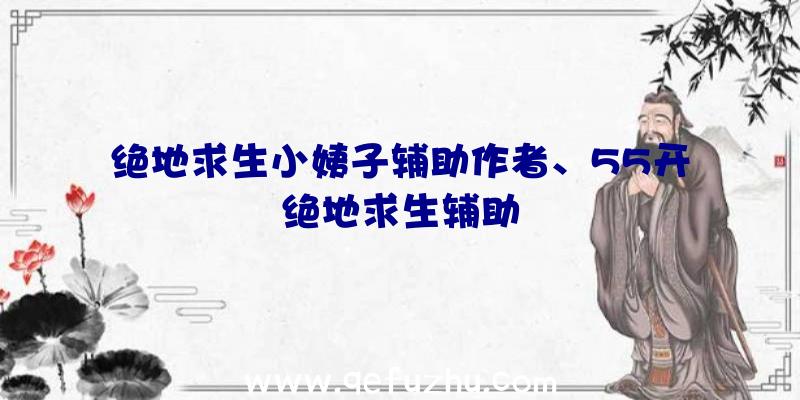 绝地求生小姨子辅助作者、55开绝地求生辅助