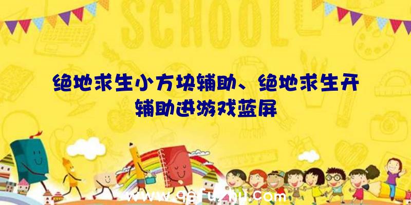 绝地求生小方块辅助、绝地求生开辅助进游戏蓝屏