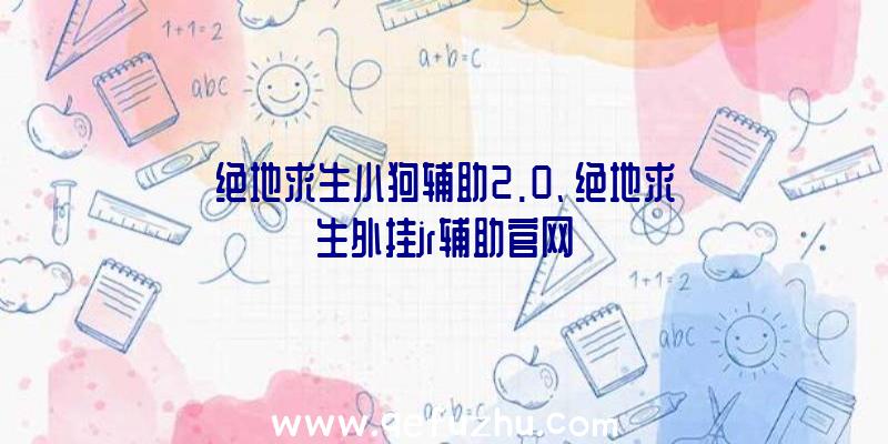 绝地求生小狗辅助2.0、绝地求生外挂jr辅助官网