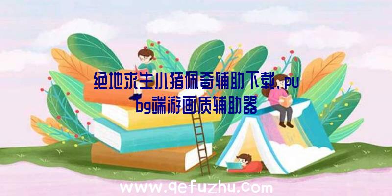 绝地求生小猪佩奇辅助下载、pubg端游画质辅助器