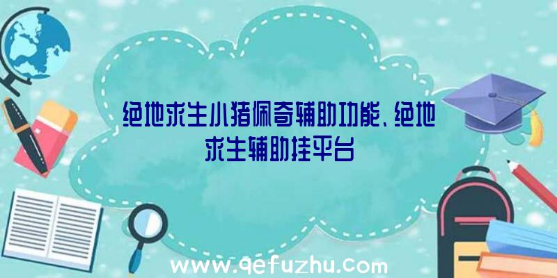 绝地求生小猪佩奇辅助功能、绝地求生辅助挂平台