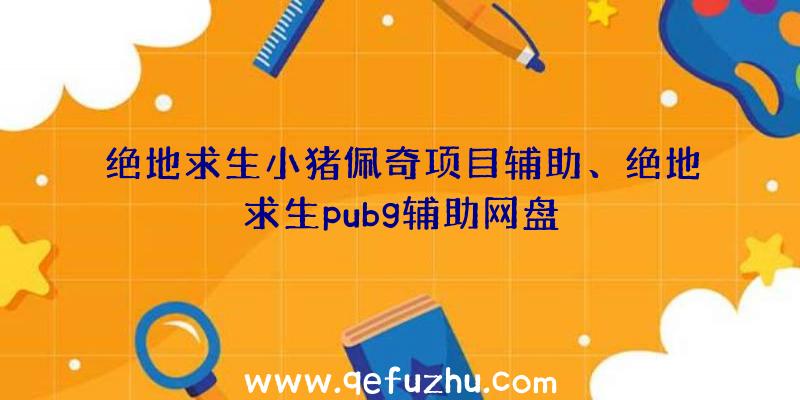 绝地求生小猪佩奇项目辅助、绝地求生pubg辅助网盘