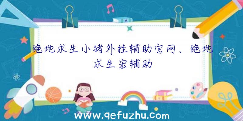 绝地求生小猪外挂辅助官网、绝地求生宏辅助