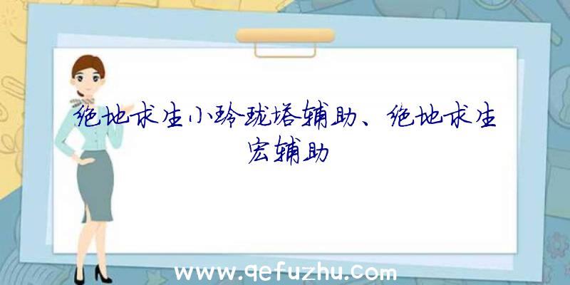 绝地求生小玲珑塔辅助、绝地求生宏辅助