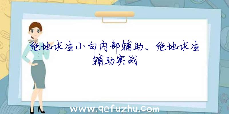 绝地求生小白内部辅助、绝地求生辅助实战