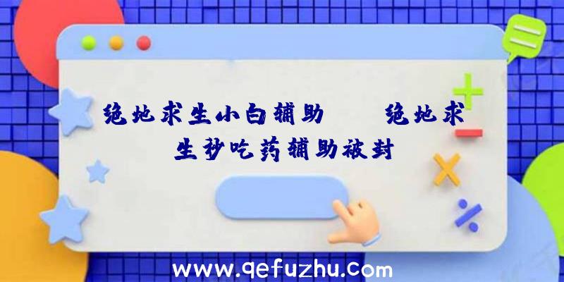 绝地求生小白辅助nzx、绝地求生秒吃药辅助被封