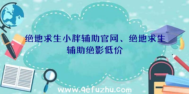 绝地求生小胖辅助官网、绝地求生辅助绝影低价