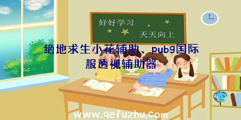 绝地求生小花辅助、pubg国际服透视辅助器