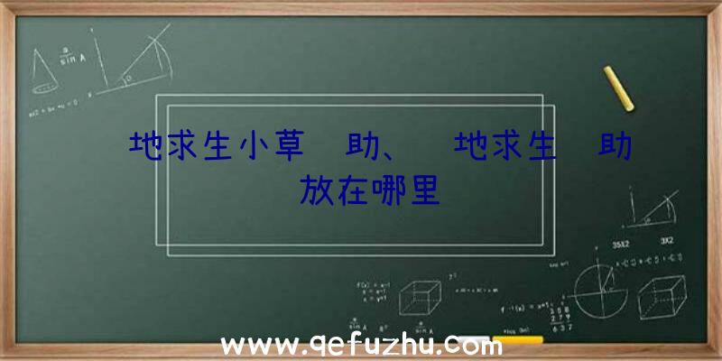 绝地求生小草辅助、绝地求生辅助