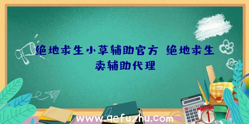 绝地求生小草辅助官方、绝地求生卖辅助代理