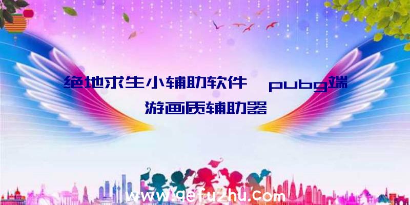 绝地求生小辅助软件、pubg端游画质辅助器