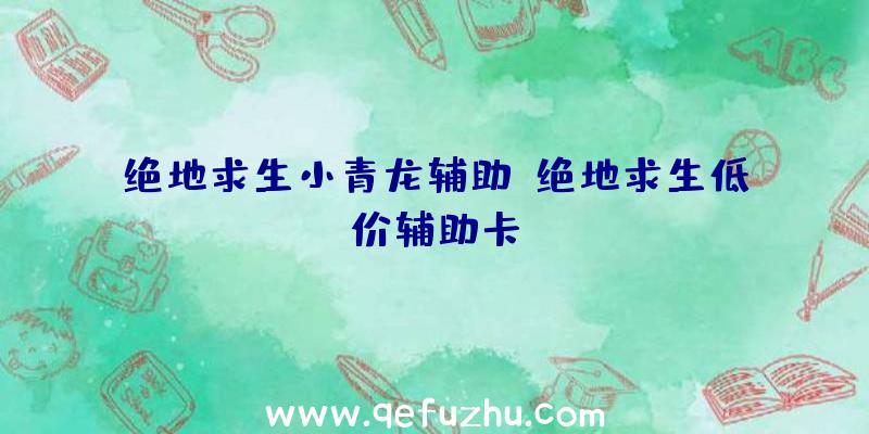 绝地求生小青龙辅助、绝地求生低价辅助卡