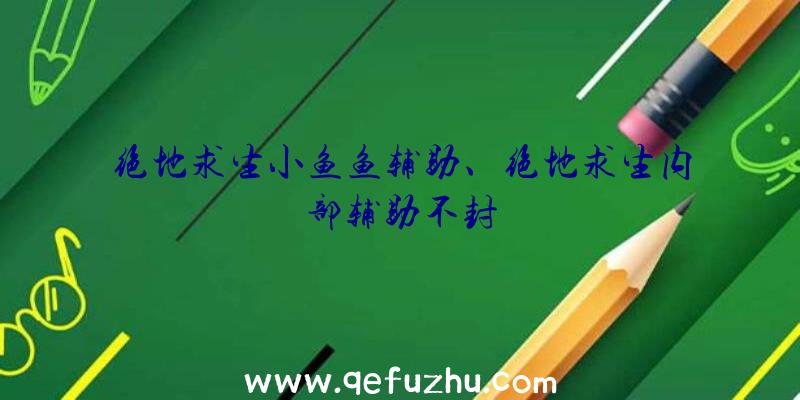 绝地求生小鱼鱼辅助、绝地求生内部辅助不封