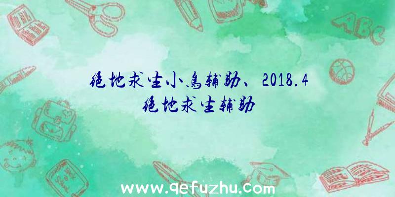 绝地求生小鸟辅助、2018.4绝地求生辅助