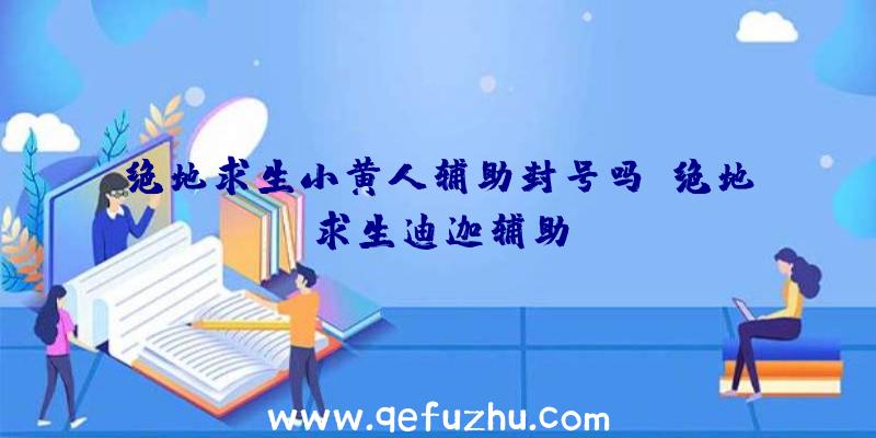 绝地求生小黄人辅助封号吗、绝地求生迪迦辅助