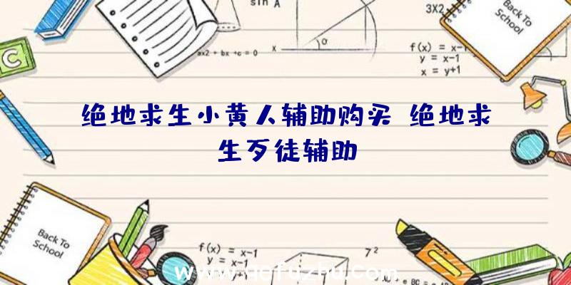 绝地求生小黄人辅助购买、绝地求生歹徒辅助