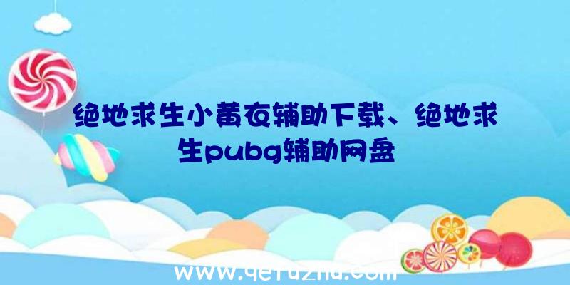 绝地求生小黄衣辅助下载、绝地求生pubg辅助网盘