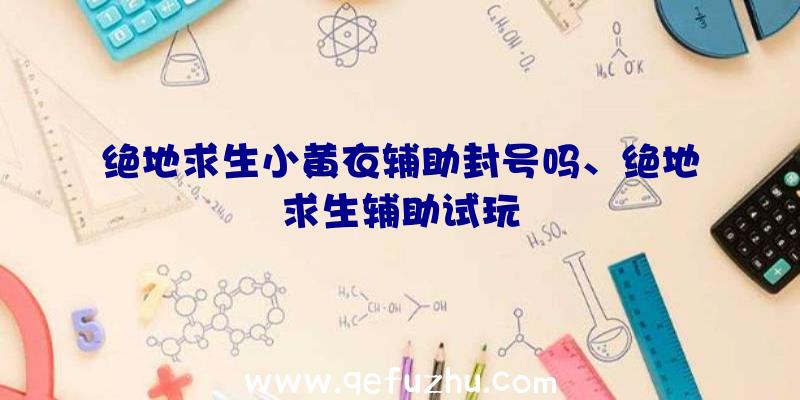 绝地求生小黄衣辅助封号吗、绝地求生辅助试玩