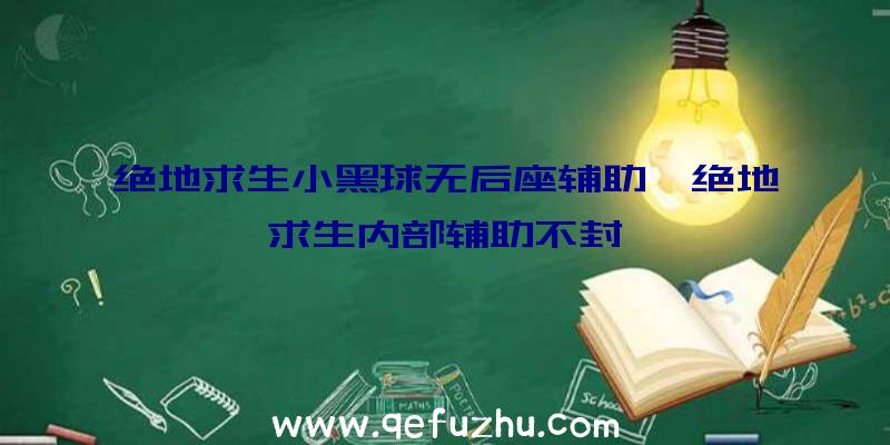 绝地求生小黑球无后座辅助、绝地求生内部辅助不封