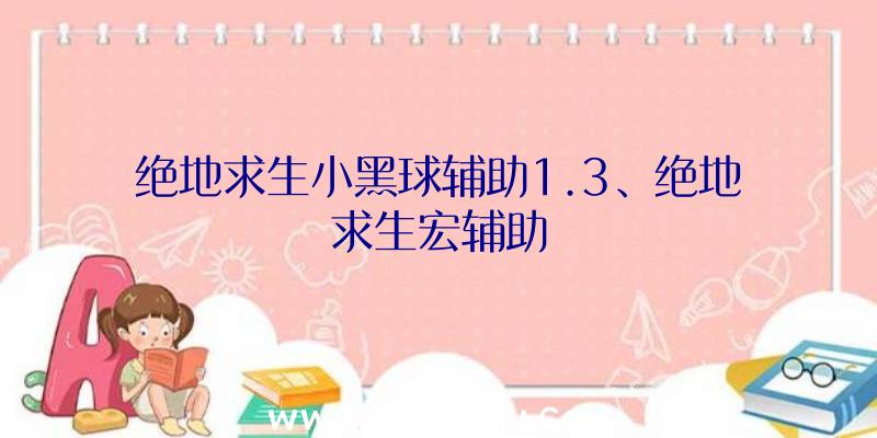 绝地求生小黑球辅助1.3、绝地求生宏辅助