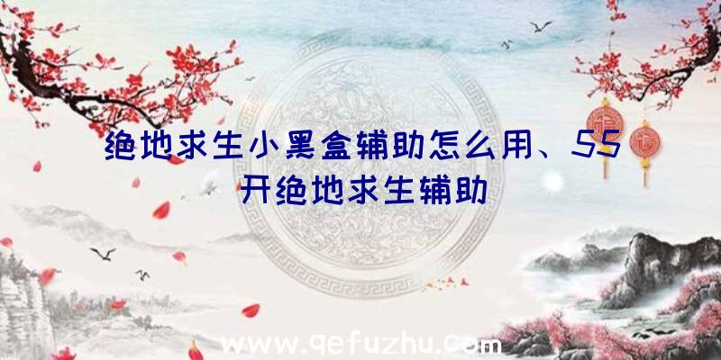 绝地求生小黑盒辅助怎么用、55开绝地求生辅助