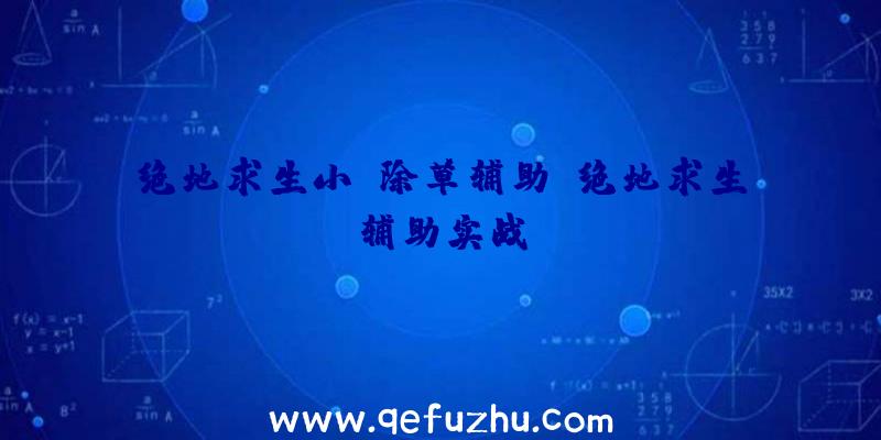 绝地求生小k除草辅助、绝地求生辅助实战
