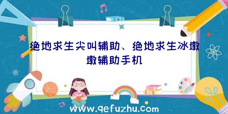 绝地求生尖叫辅助、绝地求生冰墩墩辅助手机