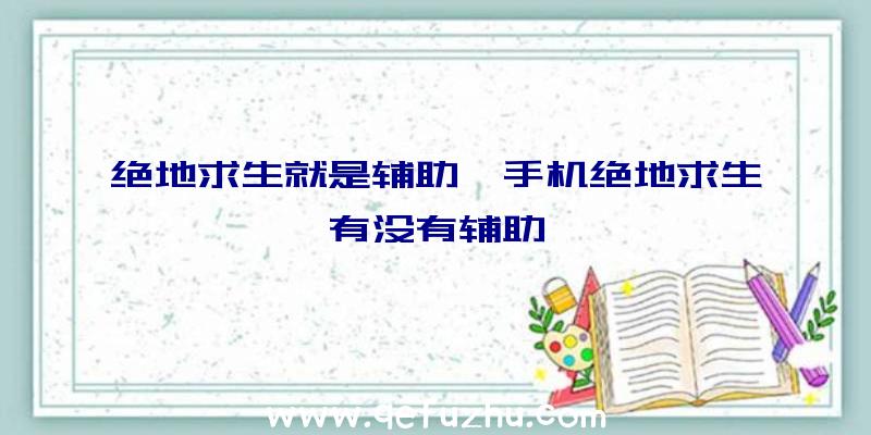 绝地求生就是辅助、手机绝地求生有没有辅助