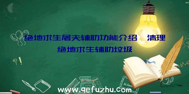 绝地求生屠夫辅助功能介绍、清理绝地求生辅助垃圾