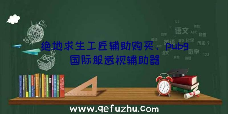 绝地求生工匠辅助购买、pubg国际服透视辅助器